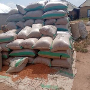 Premium Guinea Corn from Ardo Kola