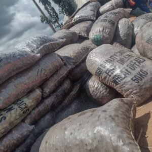 Shea Butter Market in Bantaje