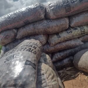 Shea Butter from Adamawa